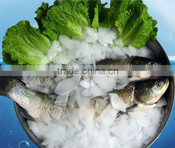 Flake Ice Machine