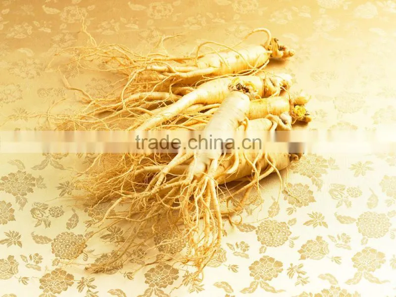 Chinese Amazing Effective herb Pure Natural Panax ginseng Oil