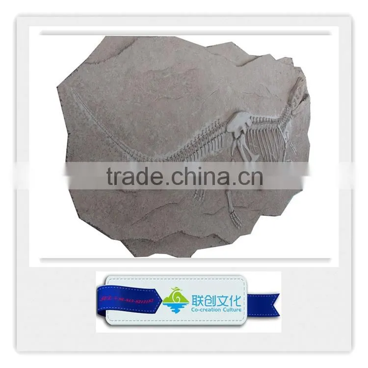 Popular bone fossil replica of dinosaur bones
