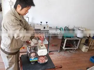 Taizhou Shark Food Machinery Co., Ltd. company overview - view 3