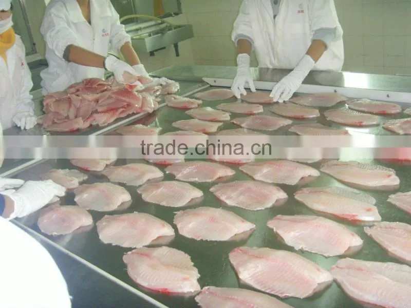 Best sale frozen fish tilapia fish fillet IQF