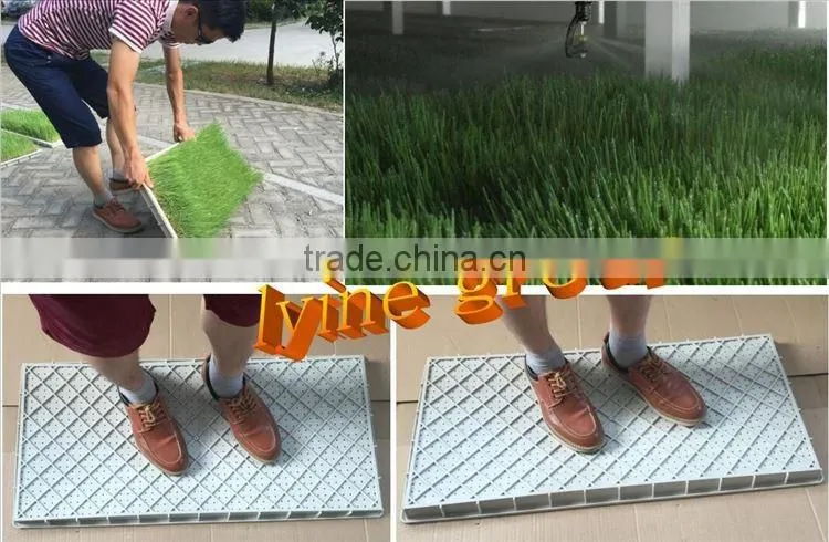 plastic seed tray seed germination tray seed planter tray