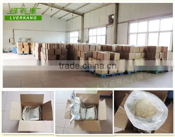 Milky white dried garlic baked powder, good garlic powders from Yongnian, China