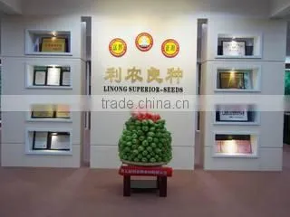 Guangdong Helinong Seeds Co., Ltd. company overview - view 3