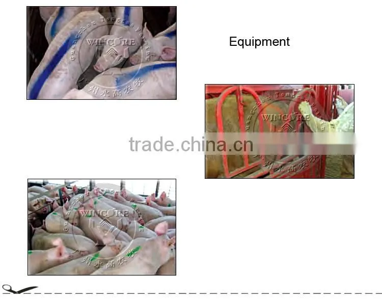 Blud and Red Marking Dye Poultry Crayon for Veterinary Marking Dye