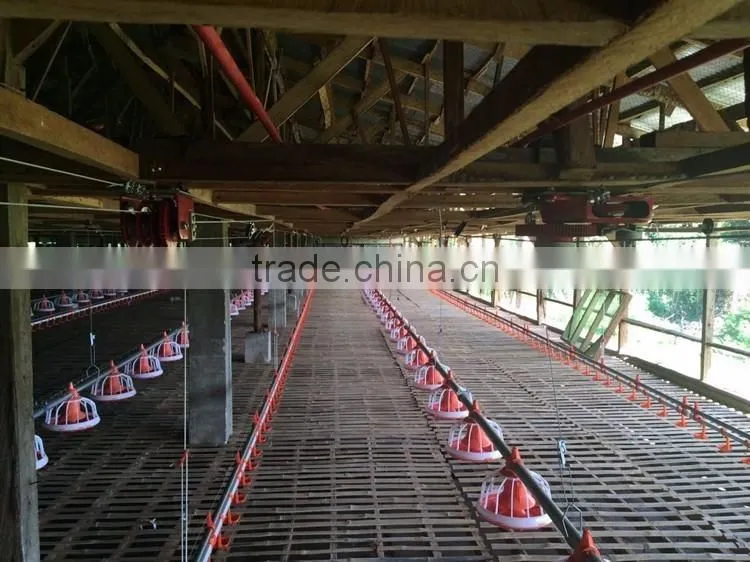 automatic poultry equipment feeder for chicken
