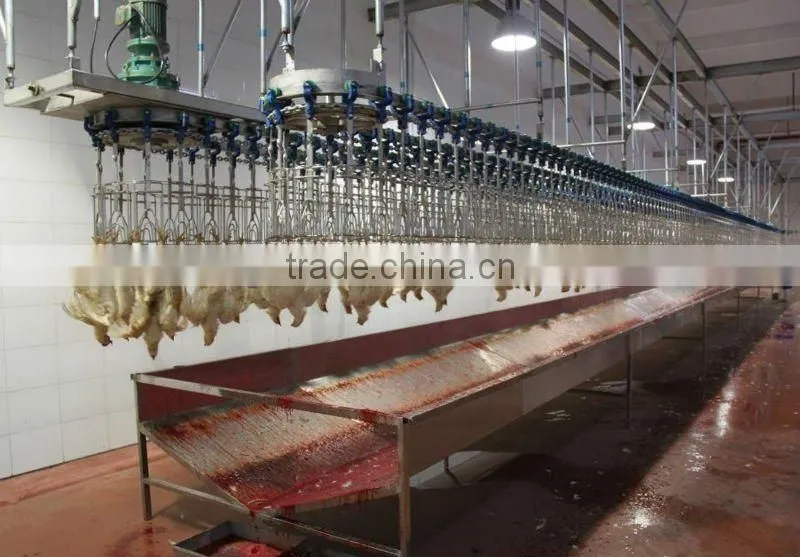 ISO SGS CE approved Full Set Poultry Slaughter Machine and Equipment