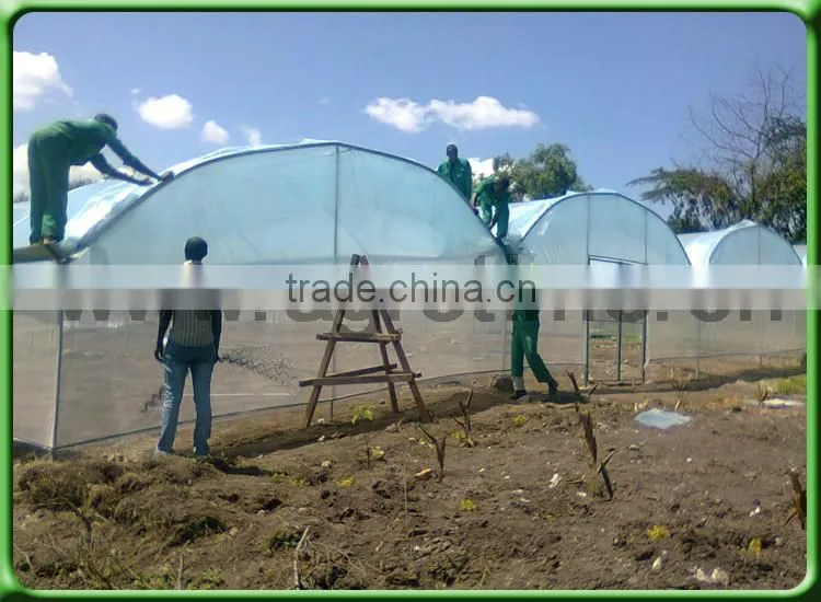 Multi-span Greenhouse low cost greenhouse agricola for Africa