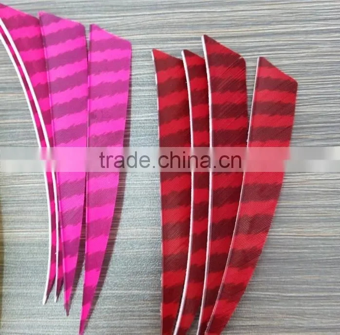 Archery Vanes And Stripe Feather Arrow For Archery Arrow Shooting