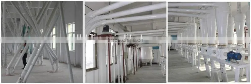 China supplier wheat flour mill plant machine for hot sale with low price