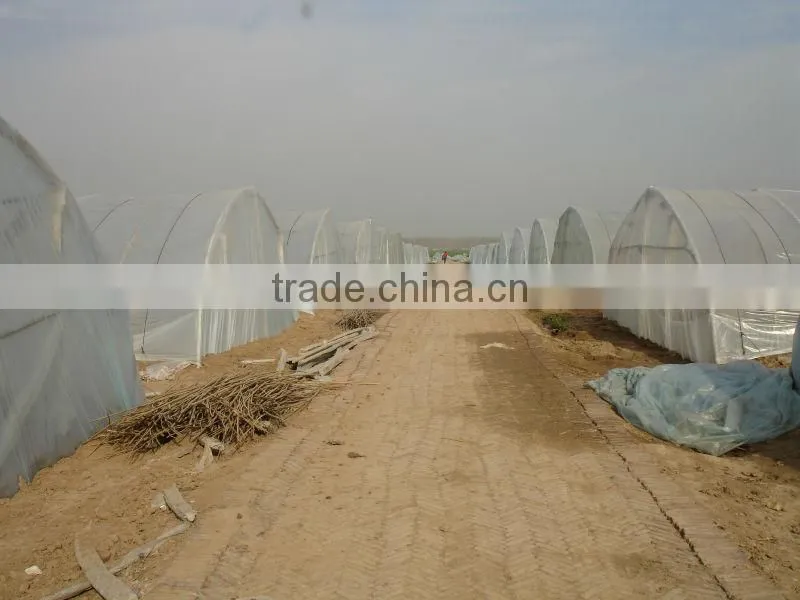 UV protect anti fog Transparent Coextruded PE Cover Film PE mulch film for grape greenhouse