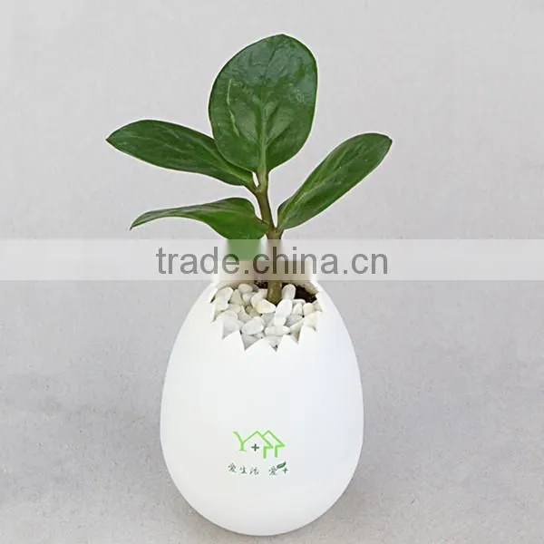 For 2015 promotional gift mini eggshell flower pot plastic injection mould parts