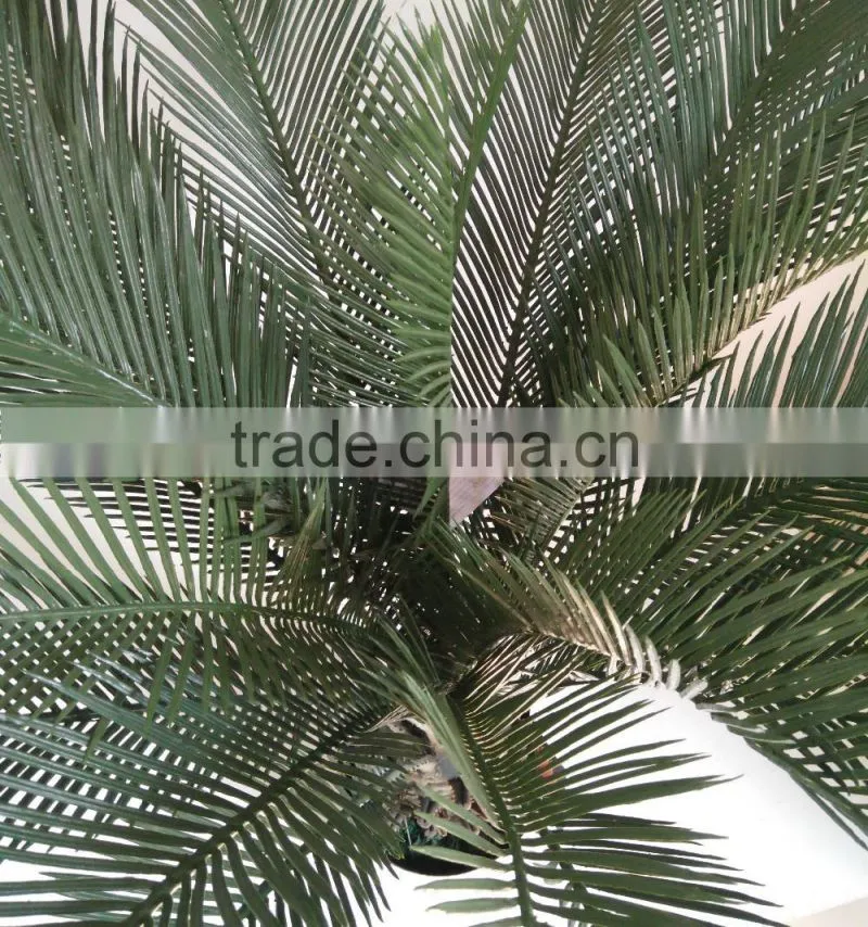 decorative sago cycas cycas revoluta artificial high simulation cycads plant
