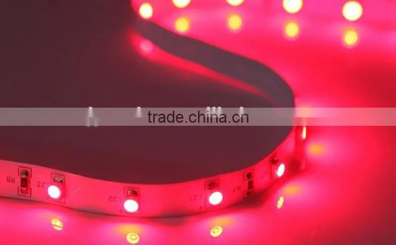 Plant growth LED lights