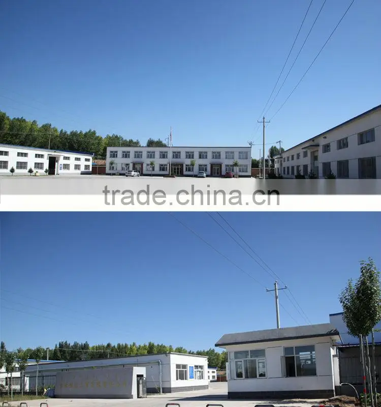 vegetable and fruit exporters, fresh green pepper