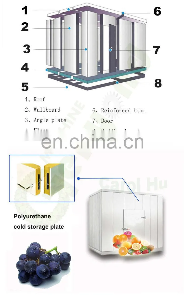 Qatar 40ft High Cube refrigerated Container