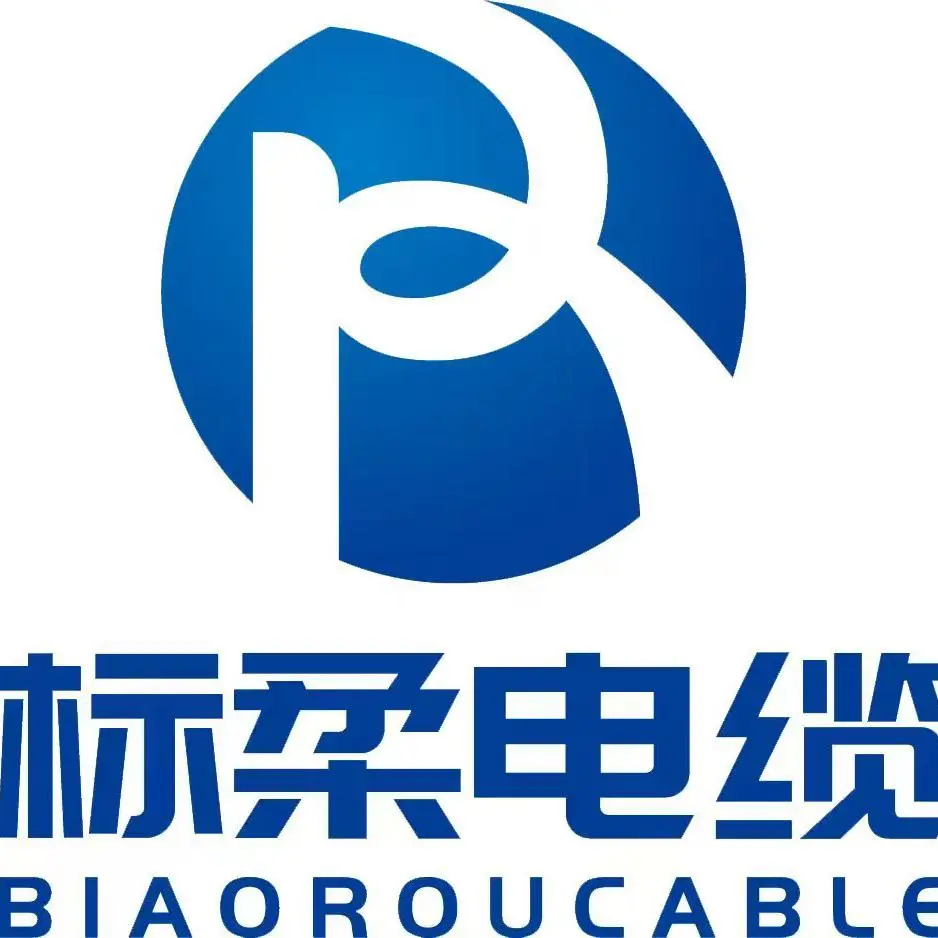 Biaoluo Special Cable (Shanghai) Co., Ltd company overview - view 1