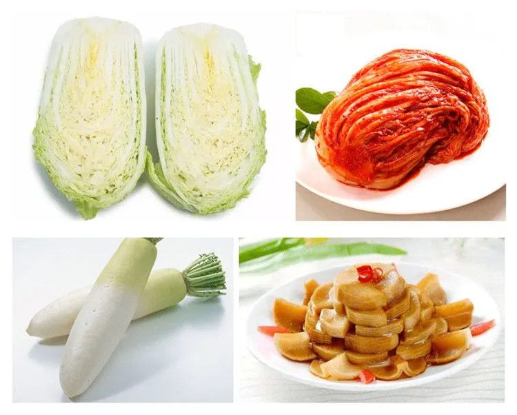 Hot Sell Kimchi Pickles Making Machine