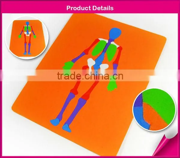 EVA foam puzzle(skeletal system)