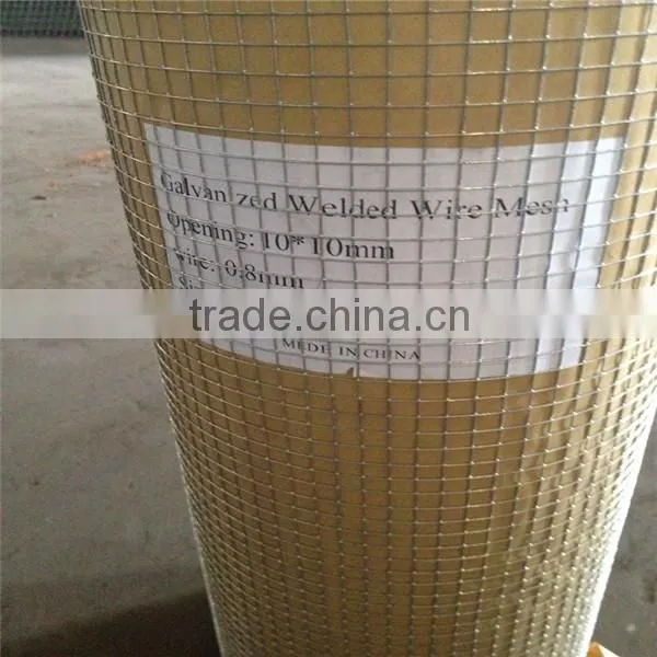 Galvanized Welded Wire Mesh ( Factory and Exporter )