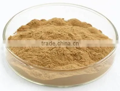 2015 China Manufacturer Organic Green Coffee Bean Extract, Green Coffee Bean Extract Powder, Pure Green Coffee Bean Extract