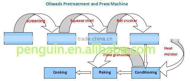 Sunflower oil making machine with ISO,BV,CE,After sales- engineer sevice overseas