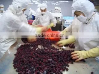 Nanjing Frostar Fruits & Vegetables Co., Ltd. company overview - view 2