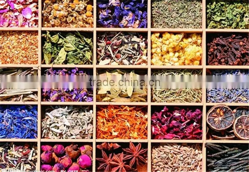 Low temperature herb process line for leaves root