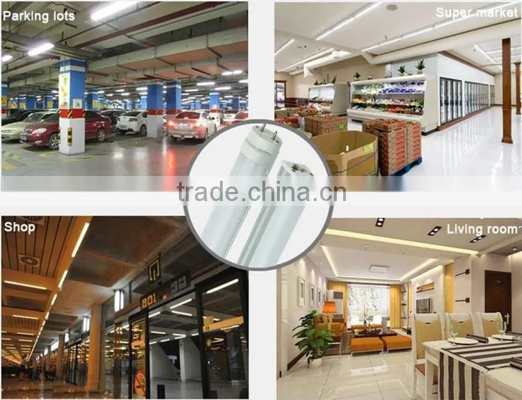 Shenzhen supplier new design 1200mm cheap price best quality t8 2014 tube8 japan xxx a
