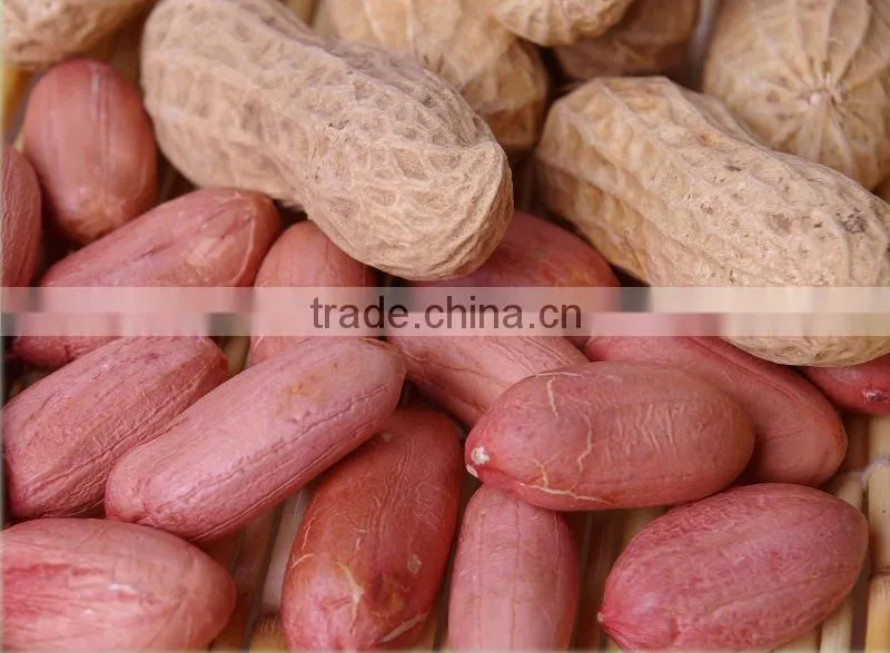 2014 new crop best quality wholesale blanched peanuts price