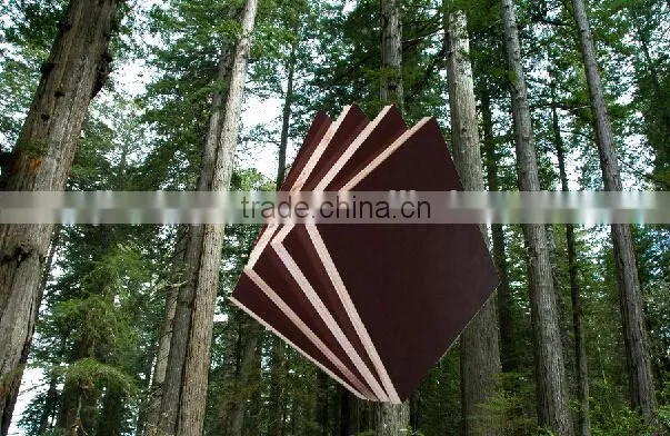 Linyi 1220*2440mm Competitive Brown Film Faced Plywood