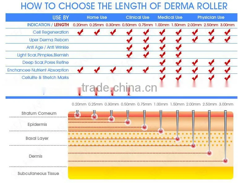 NL-DRS600 market hot sale 600 pins microneedling derma roller micro needle roller for stretch marks and celullite