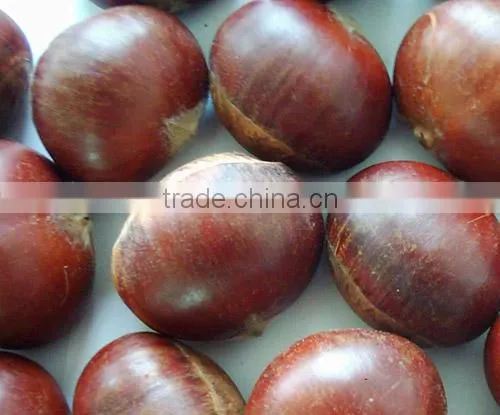 organic roasted chestnuts for sale