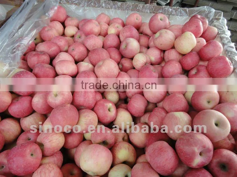 Fresh Fuji Apple