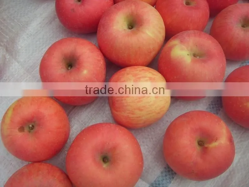red fuji apple