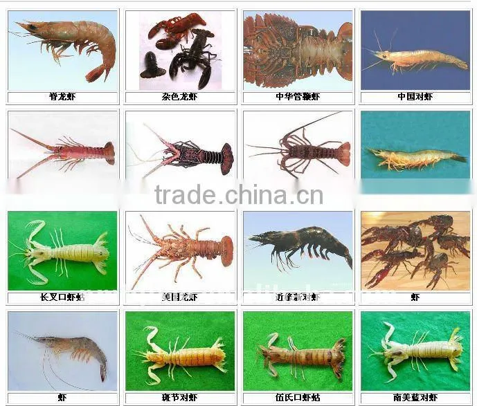fish machine for sausageas,offals,shrimps,wet-handling feathers,livestock slaughtering off