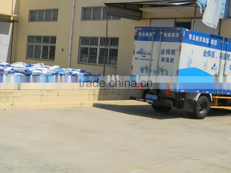 ISO9001 Seaweed organic granule NPK fertilizer with low price
