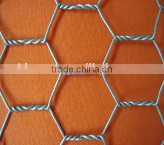 Low cost hexagonal netting /chicken wire mesh/ poultry hexagonal netting for sale