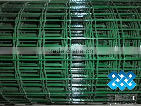 Metal Euro Fencing