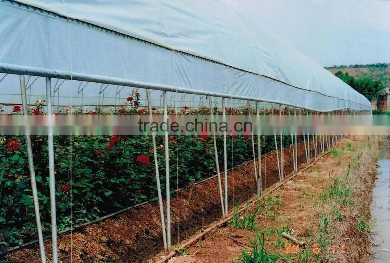 agricultral transparent hdpe uv resistant plastic film for greenhouse