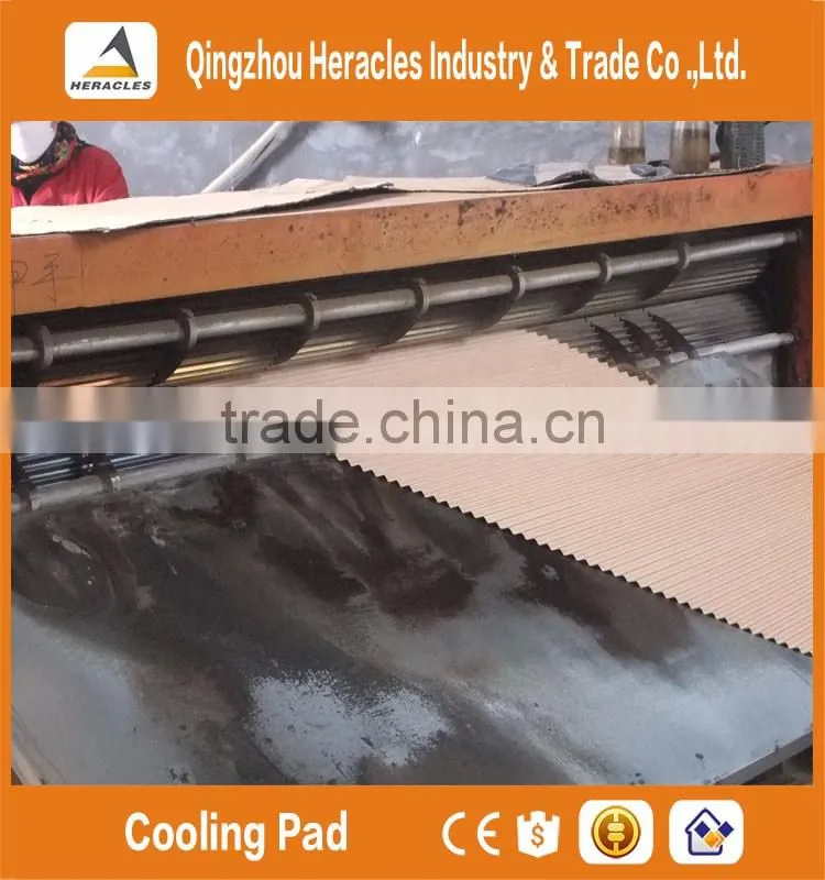 Alibaba China trade assurance pad and fan greenhouse cooling systems for poultry farm and greenhouse