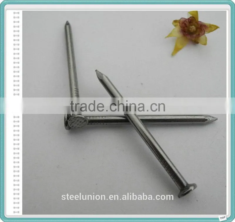 Factory Common Wire Nail/Common Nail for Construction/Common Nail