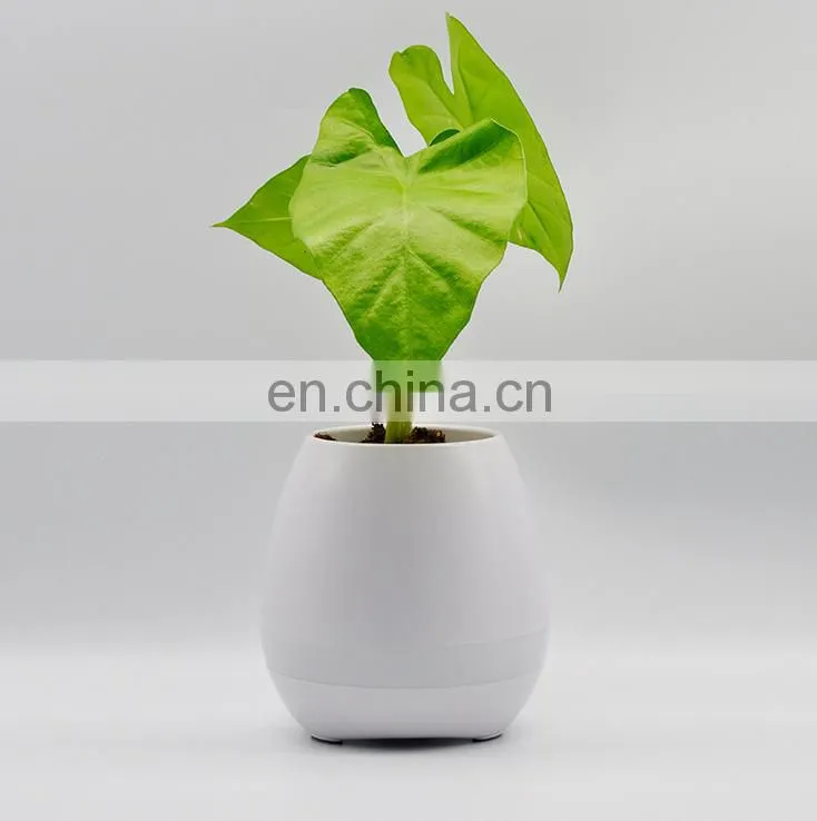 Office decompression toy bluetooth music pots manufacturer custom smart music flowerpot