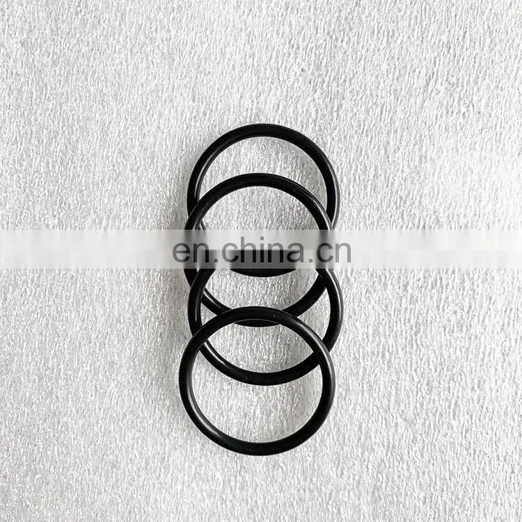 Aftermarket Diesel Spare Parts for Cummins NTA855 O Ring Seal 3050667