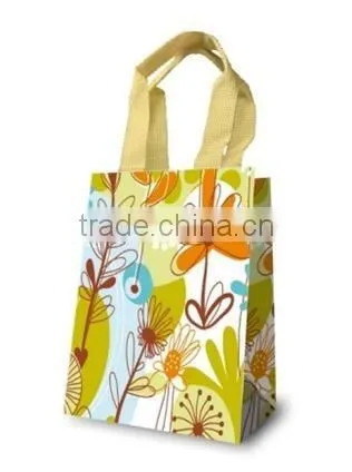 Fancy Gift Bag, Souvenir packaging Bags