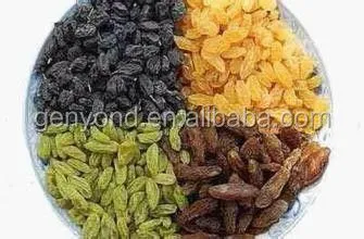 Raisin Cleaning Machine for the Raisin Processing