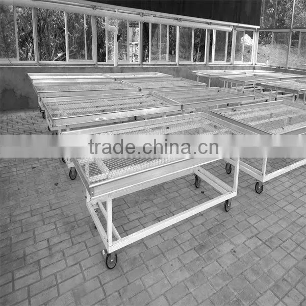 Cultivators Used Growing Table System