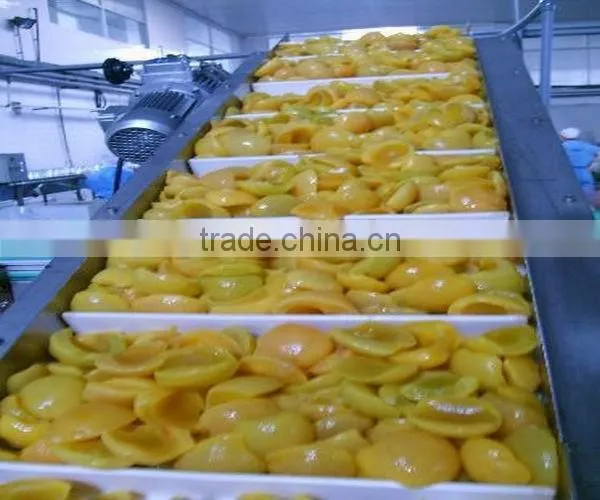 Food Grade Belt Conveyor Used For Food Industry