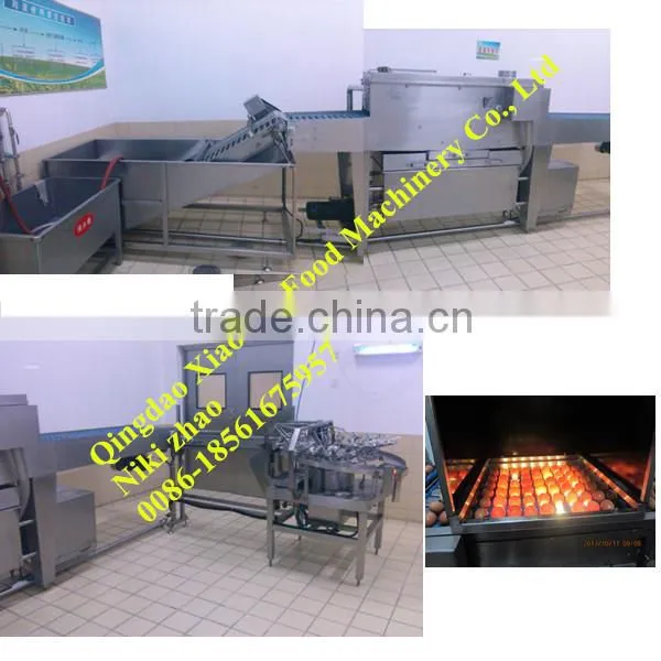 8000 Eggs Breaker Per Hour/automatic Egg Breaking Machine,seperator white and yellow