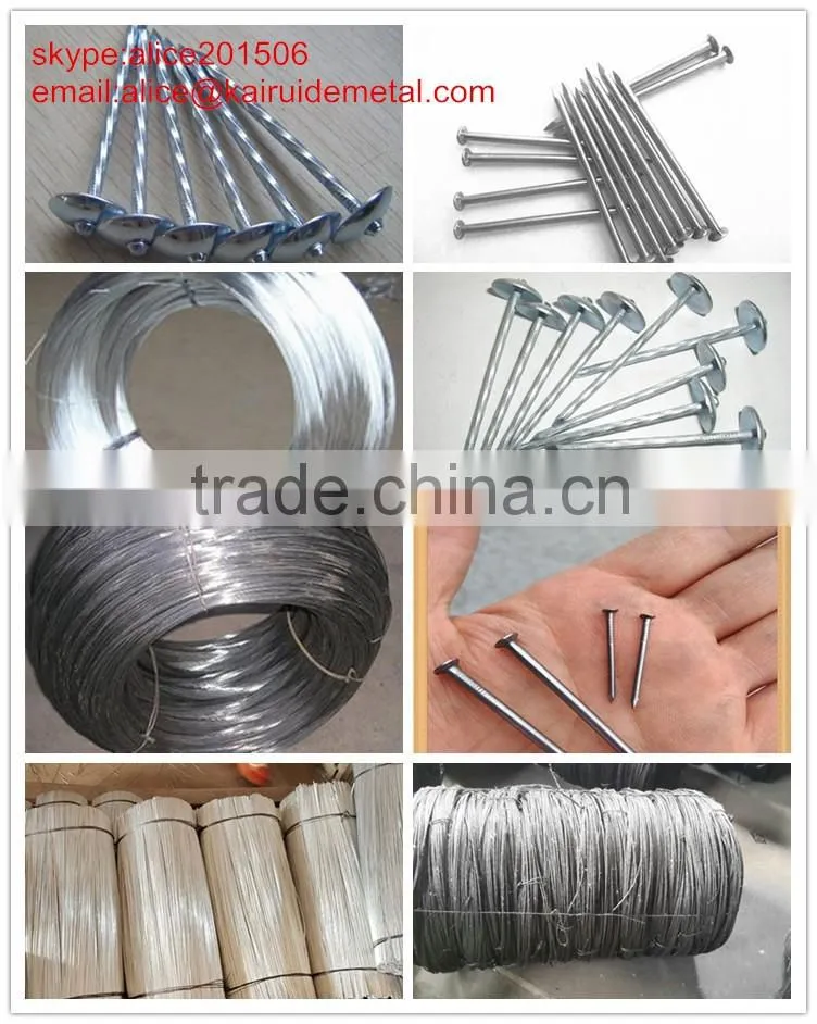 high qulaity low price stainless steelconcrete nail from concrete steell nail factory